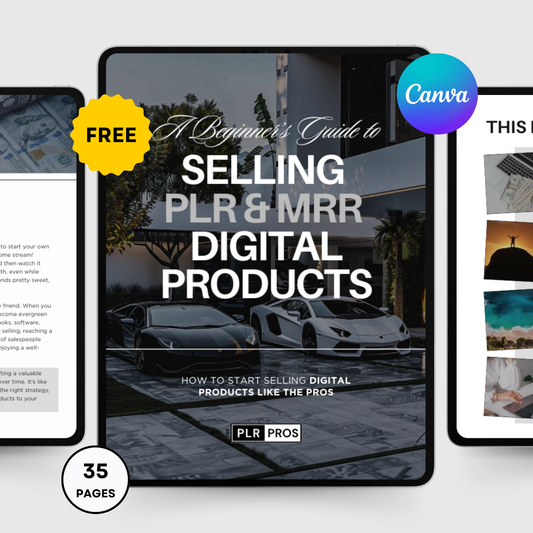 The Beginner's Guide to Selling PLR & MRR Digital Products