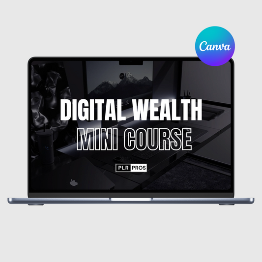 The Digital Wealth Mini Course - For Men